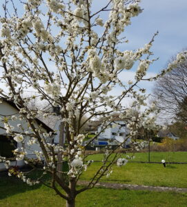 Frühlingserwachen: Die Kraft der Natur