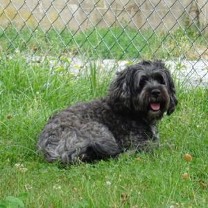 Die Natur genießen !